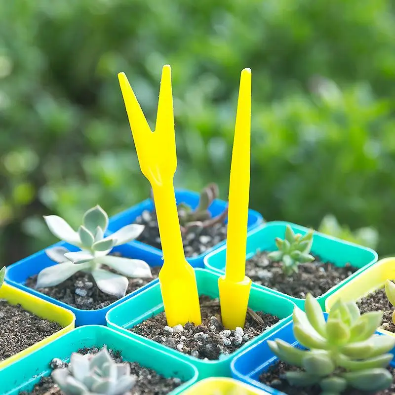 Succulent Set - 1/10 adet Ekim Succulents Nakli Fideleri