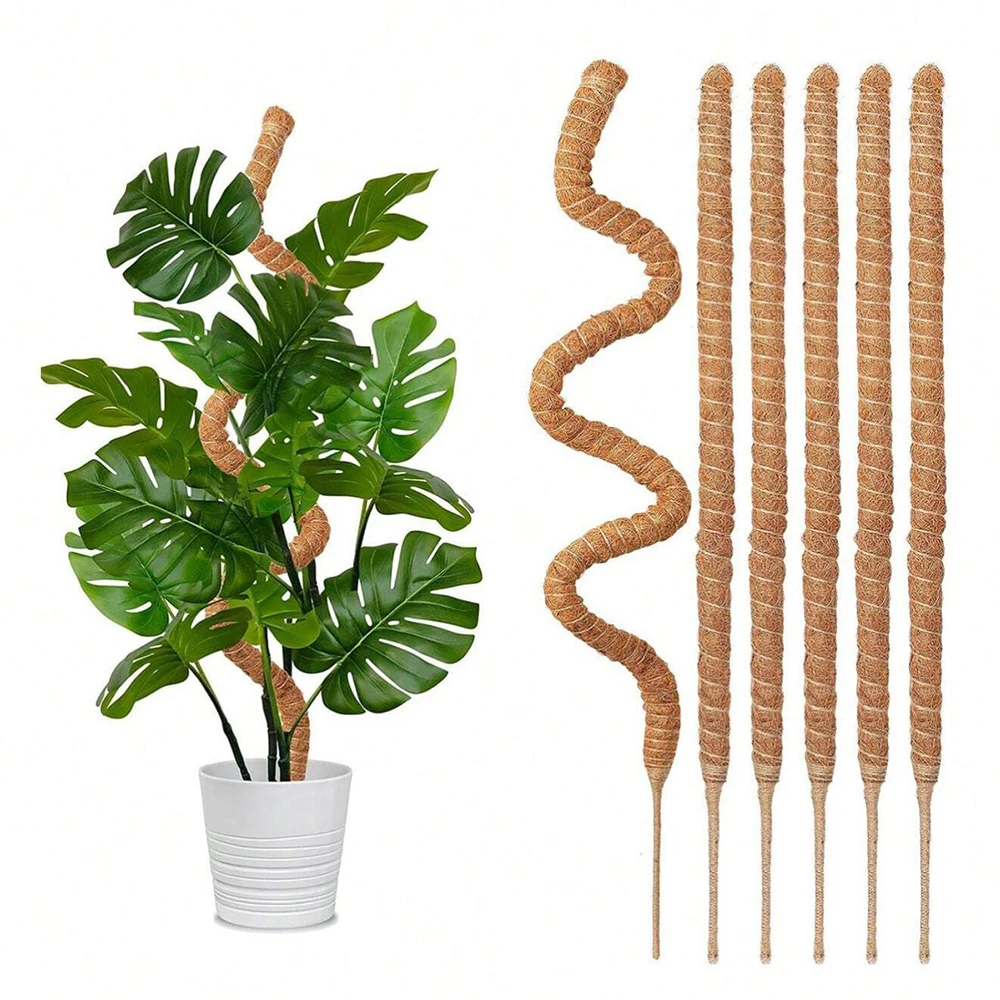 Plant Support Stake - Monstera Bitkisi için Yosunlu Destek Çubukları,