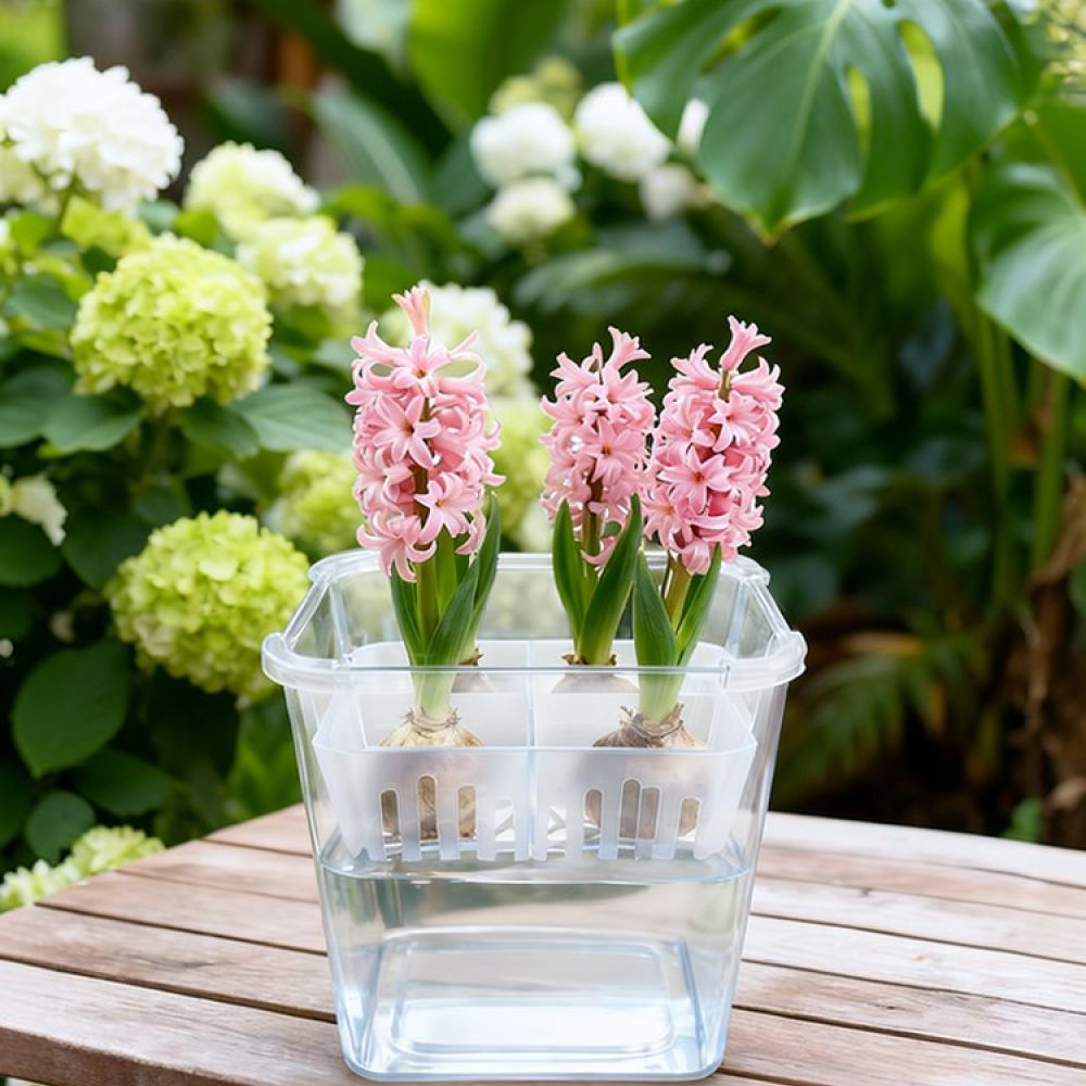 Indoor Plants - Lale ve Zambak Bulunduğunda Kullanılabilen, Şeffaf,