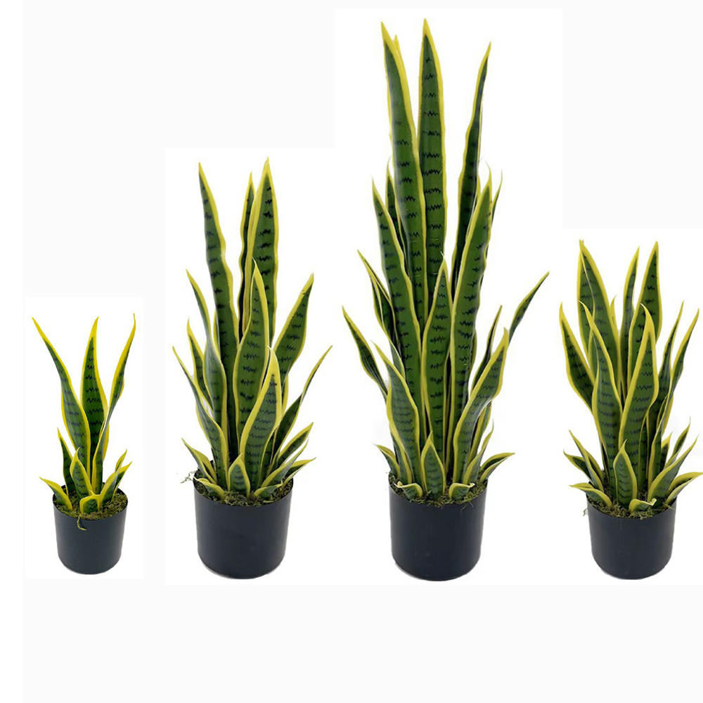 Snake Plant - 40-100cm Yapay Sansevieria Yılan Bitkisi Siyah