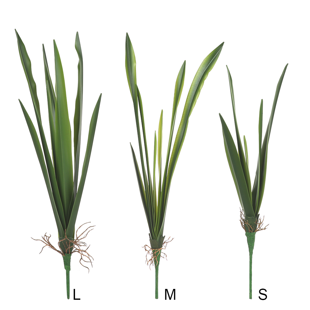 Parti malzemeleri yüksek derec - Snake Plant incelemesi ve fiyatı