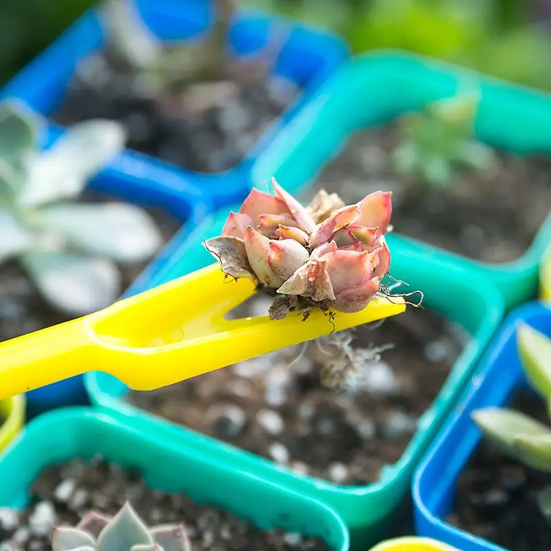 1/10 adet Ekim Succulents Nakl - Succulent Set incelemesi ve fiyatı