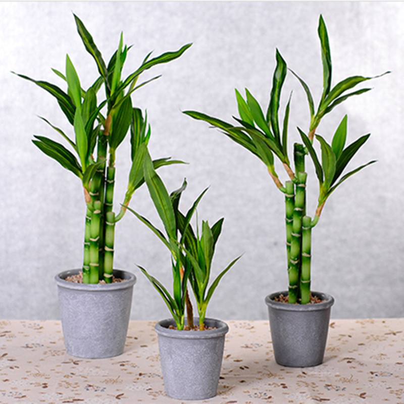 Yeni 40cm Yapay Şanslı Bambu S - Snake Plant incelemesi ve fiyatı