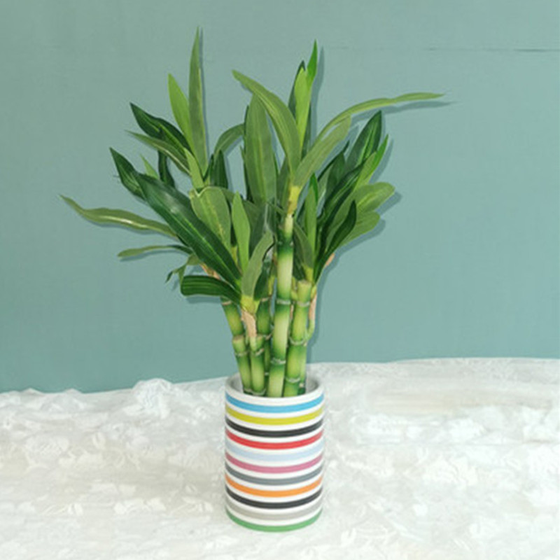 Yeni 40cm Yapay Şanslı Bambu S - Snake Plant incelemesi ve fiyatı