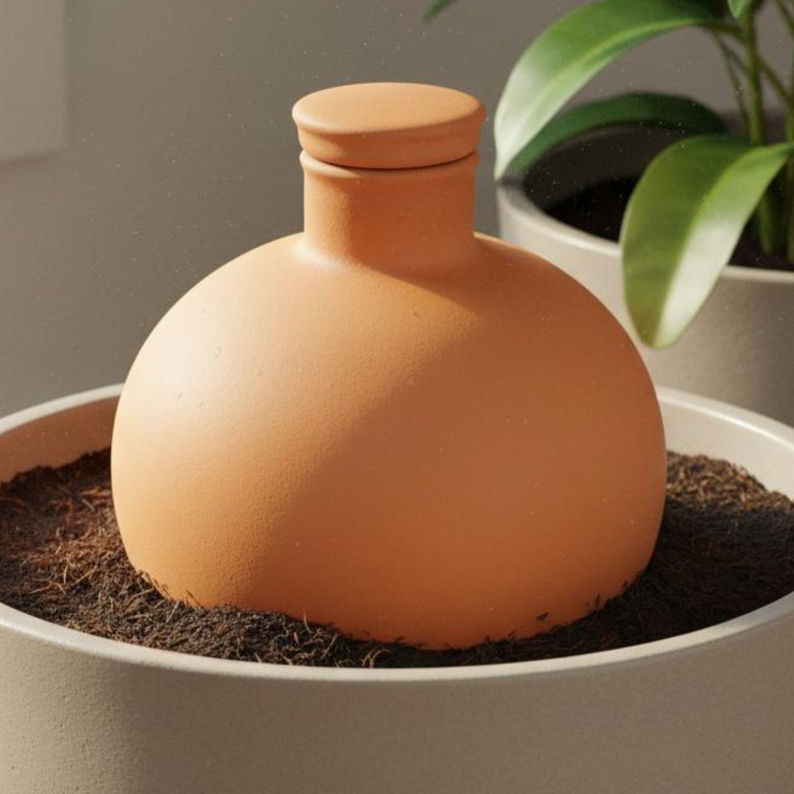 2 Parça Terracotta Olla Kolay  - Terracotta Pot incelemesi ve fiyatı