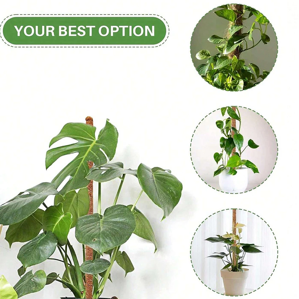 Monstera Bitkisi için Yosunlu  - Plant Support Stake incelemesi ve fiyatı