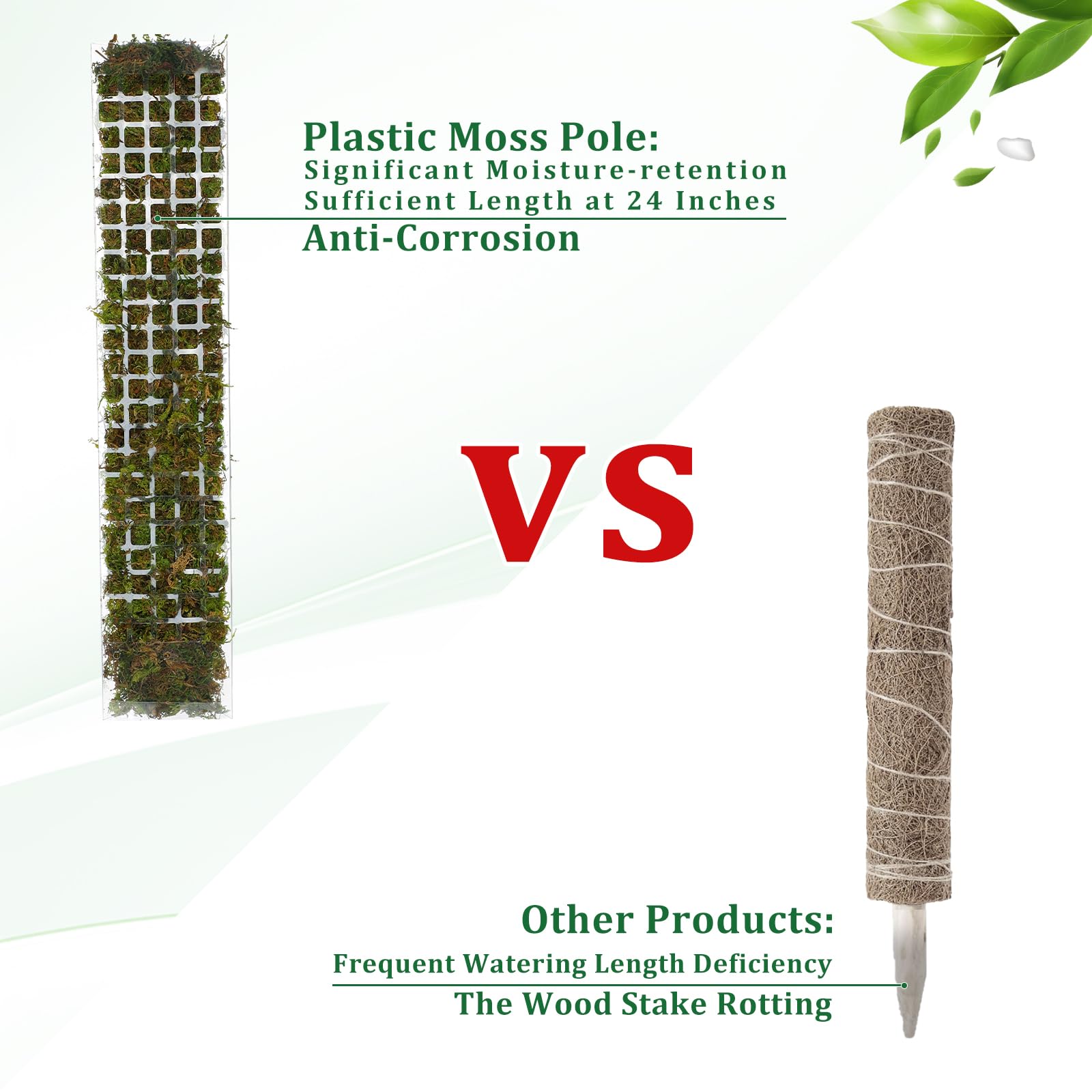 Yosun Direği Plastik Bitki Sta - Plant Support Stake incelemesi ve fiyatı