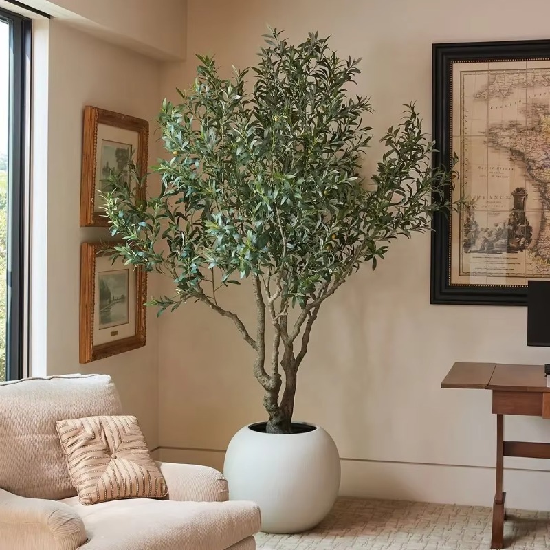 Özelleştirilebilir 90cm 120cm  - Indoor Plants incelemesi ve fiyatı