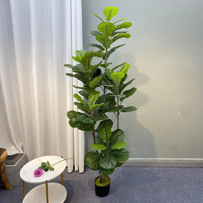 59in büyük Ficus ağacı yapay b - Fiddle Leaf Fig incelemesi ve fiyatı