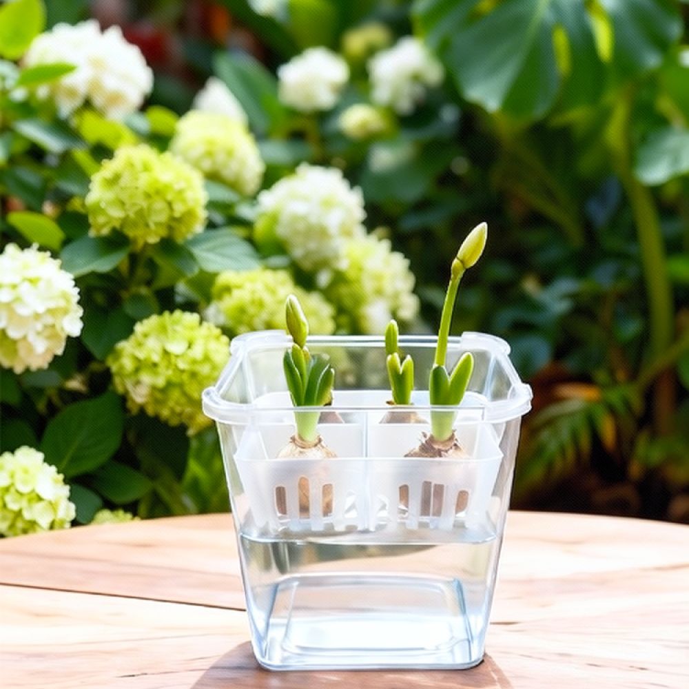 Lale ve Zambak Bulunduğunda Ku - Indoor Plants incelemesi ve fiyatı