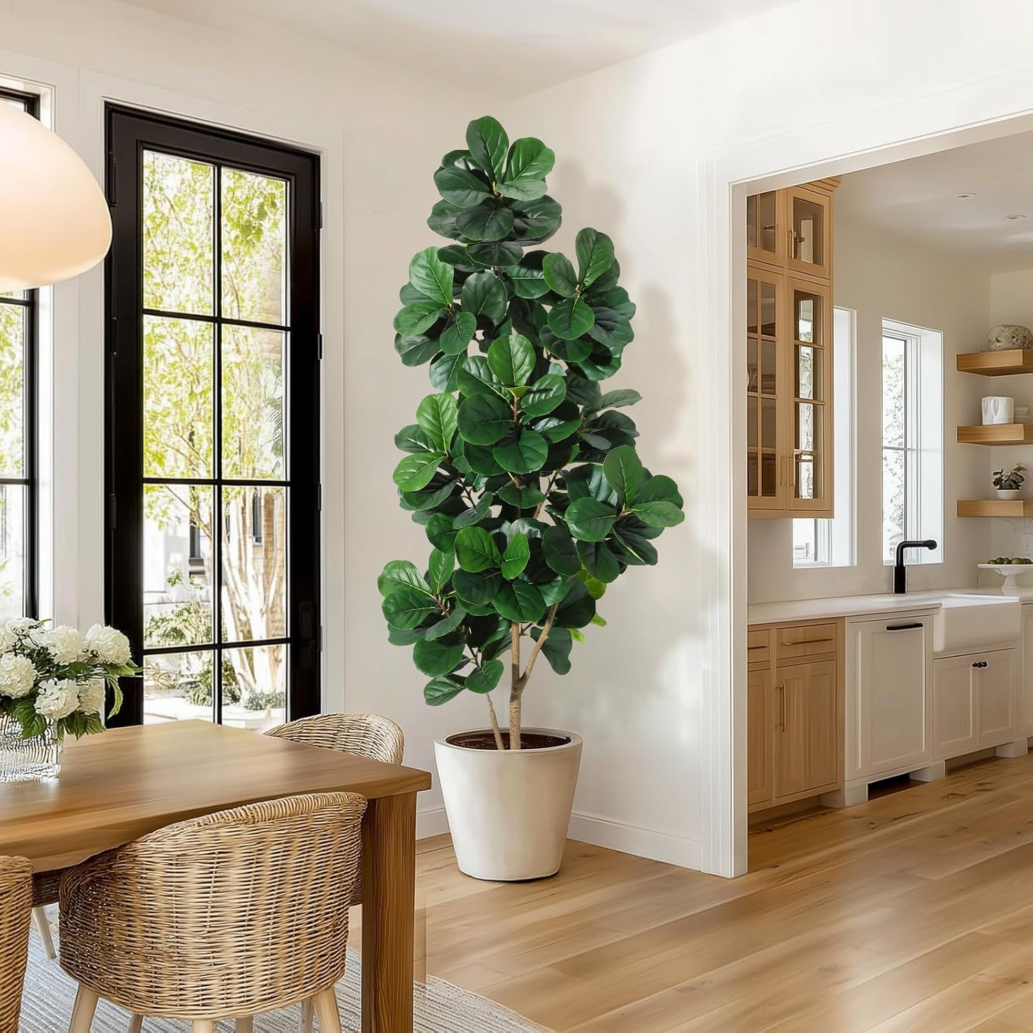 4-7 FT Fiddle Leaf Fig Ağacı Y - Fiddle Leaf Fig incelemesi ve fiyatı