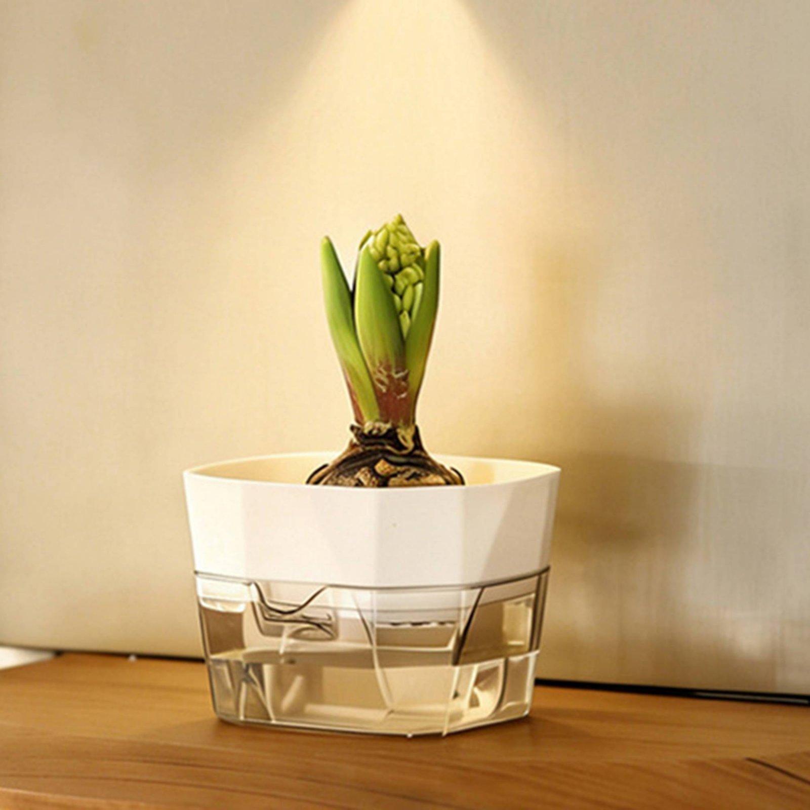 Hidroponik Vazo İki Katmanlı K - Indoor Plants incelemesi ve fiyatı