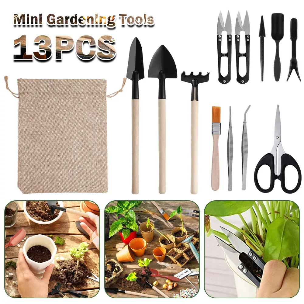 Kapalı bitki için 13 adet etli - Succulent Set incelemesi ve fiyatı