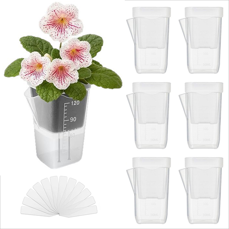 16/32'li Paket Kendiliğinden S - Pothos incelemesi ve fiyatı