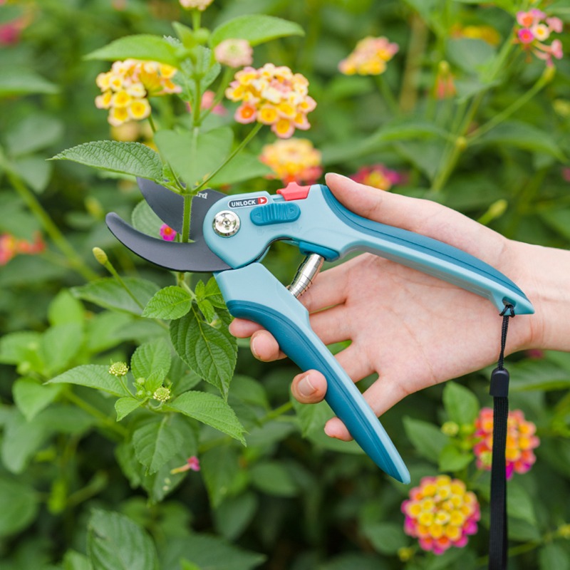 Yüksek Karbonlu Çelik Orman Bu - Plant Pot incelemesi ve fiyatı