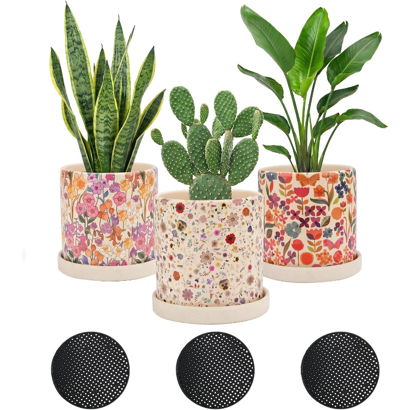 3 Adet Drenaj Delikli Seramik  - Snake Plant Ceramic incelemesi ve fiyatı