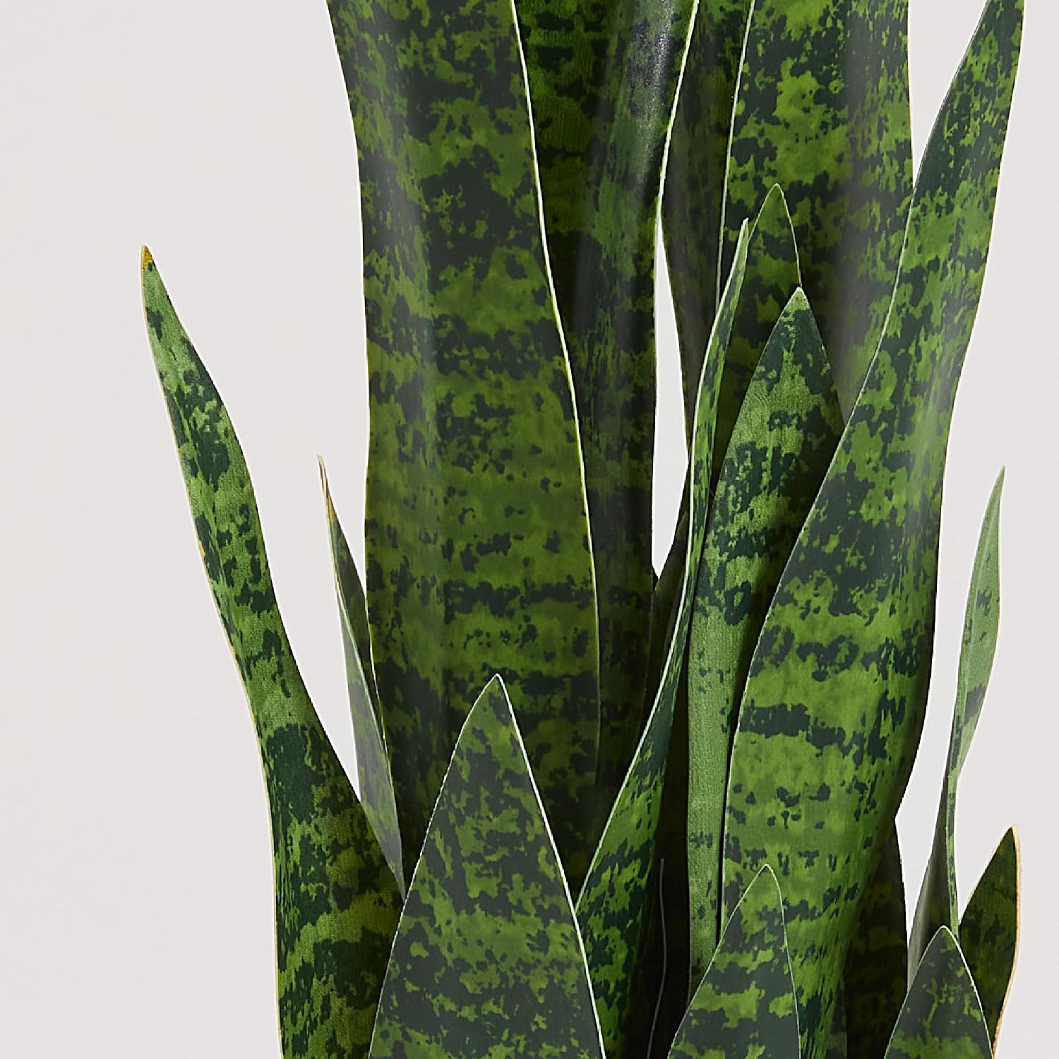 Yapay Yılan Bitkisi, 35 inçlik - Snake Plant incelemesi ve fiyatı