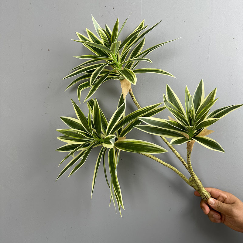 Simüle Yeşil Bitkiler 3 Başlı  - Snake Plant incelemesi ve fiyatı