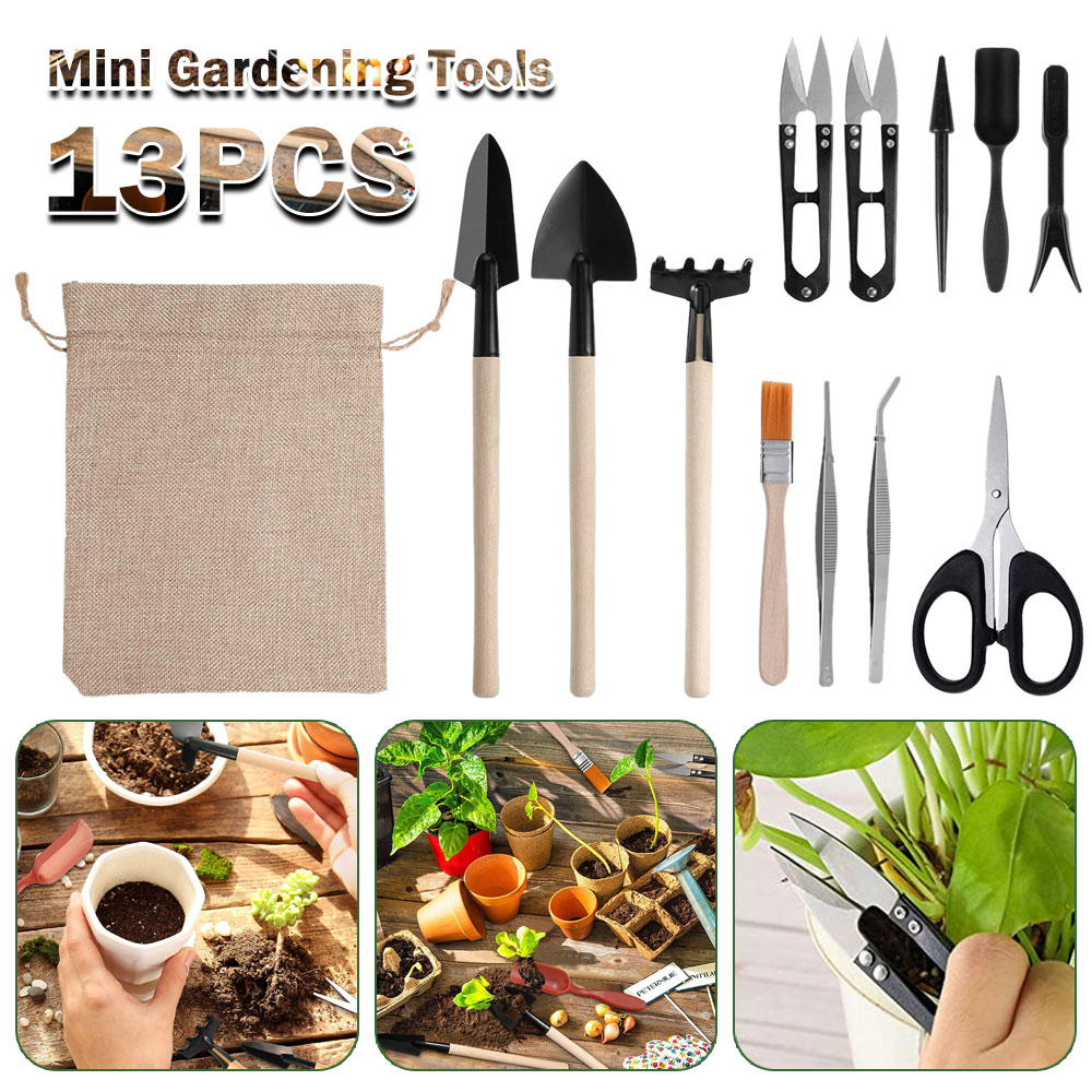 Etli Bitkiler Araçları Mini Ba - Succulent Set incelemesi ve fiyatı