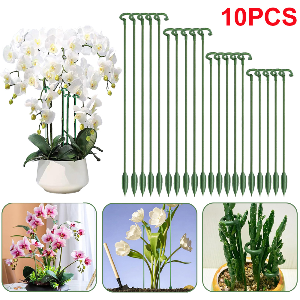5/10 adet bitki destek kazıkla - Succulent Set incelemesi ve fiyatı